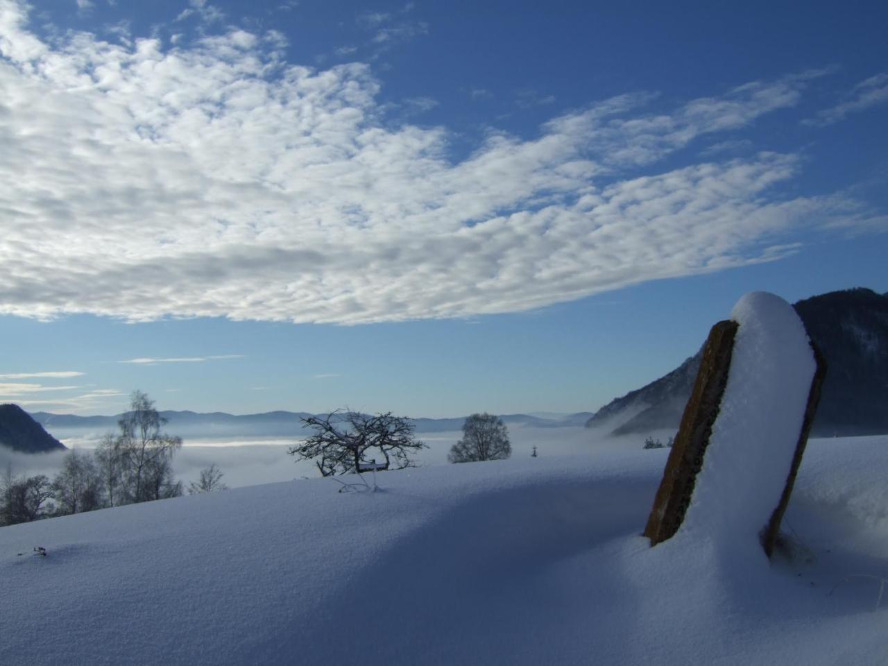 Planinski Mir Zaovine Exterior foto